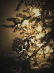 sepia-toned photo of christmas tree