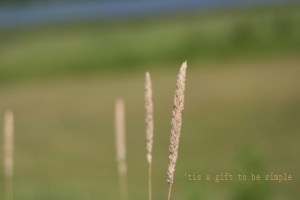 'tis a gift to be simple