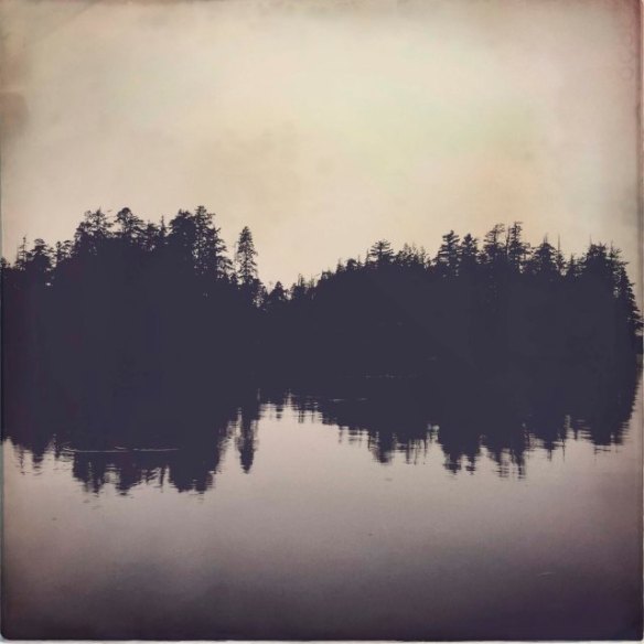 like music - trees reflected on a lake leave the impression of sound waves