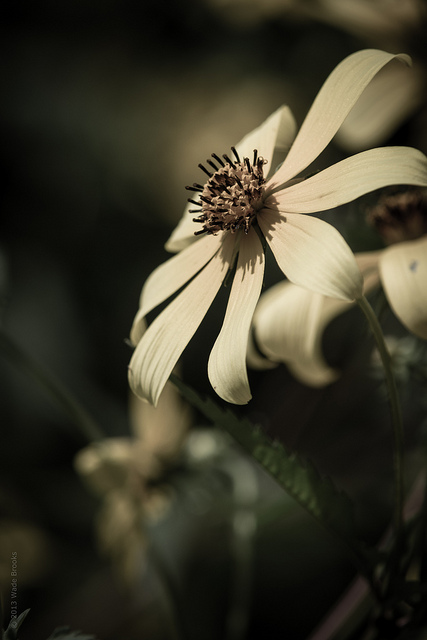 quiet wordless beauty.jpg