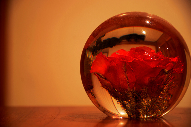 rose preserved in resin globe.jpg