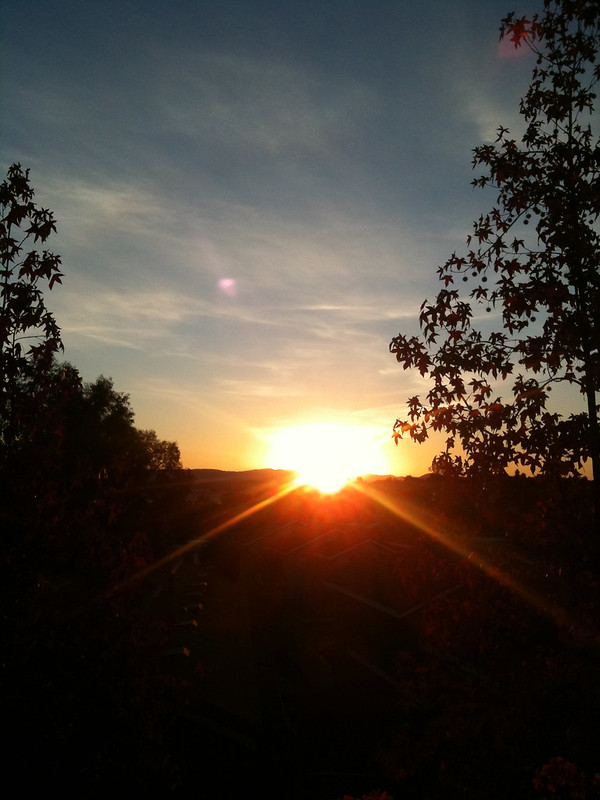 sunrise.jpg