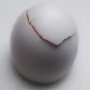 cracked egg, just opening